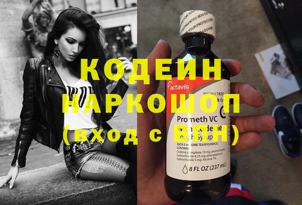 дурь Бородино