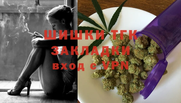 дурь Бородино