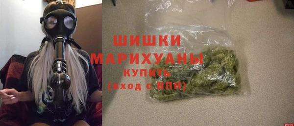 дурь Бородино