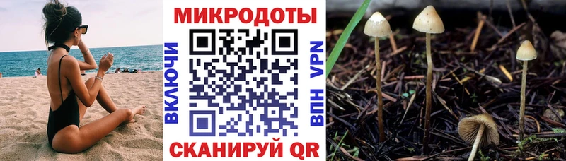 Псилоцибиновые грибы MAGIC MUSHROOMS  купить наркоту  Кириши 